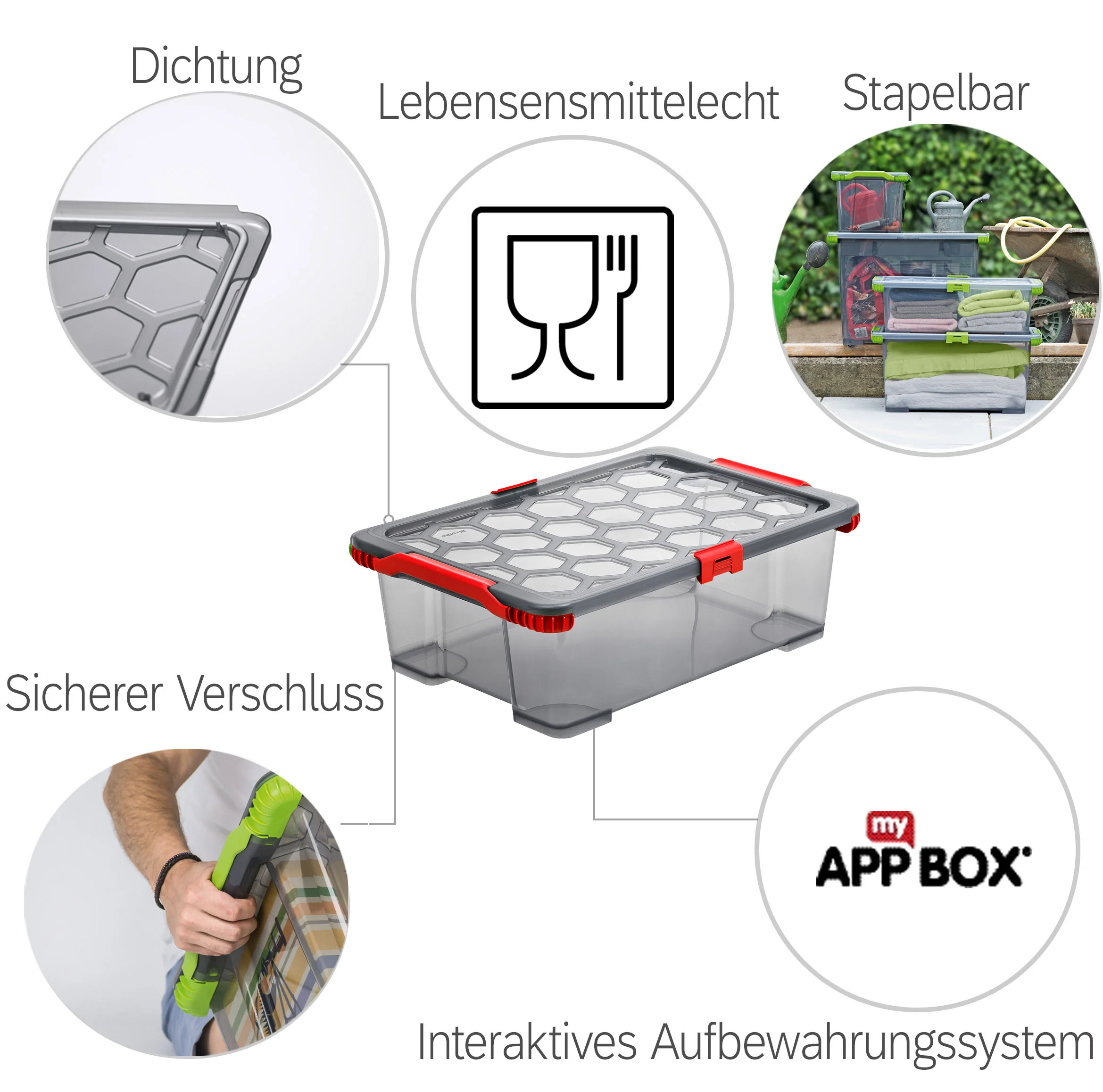 Vorschaubild 5